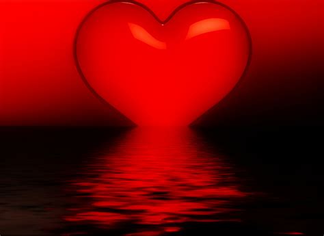 Loving Heart Free Stock Photo - Public Domain Pictures