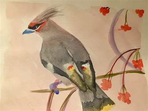 Painted the Bohemian Waxwing bird pic in watercolor. : oddlysatisfying