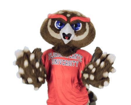 Fau Owlsley Sticker by Florida Atlantic University for iOS & Android | GIPHY