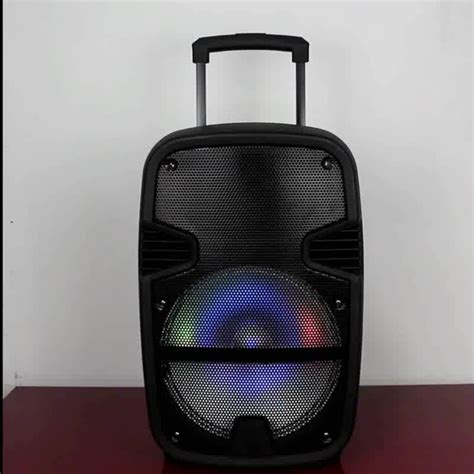 12inch 7.4v Rechargeable Portable Amplifier Speaker With Wireless ...