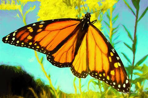 Digital Pastel Drawing of a Monarch Butterfly – Charles W. Bailey, Jr., Digital Artist