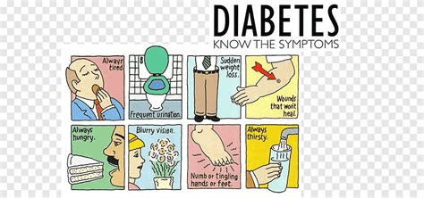 Diabetes mellitus type 2 Type 1 diabetes Symptom Blood Sugar, Symptoms ...