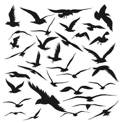 Bird Silhouette Drawing Vector graphics - flight png download - 2500*2500 - Free Transparent ...