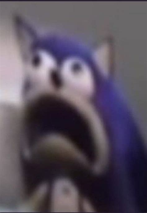 does anyone know why sonic is making that goofy ahh face? : r/memeorigins