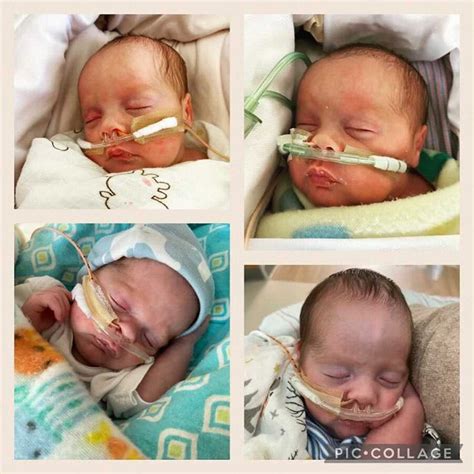 Georgia mom gives birth to rare quadruplets: 'Going to be a wild ride' | Fox News