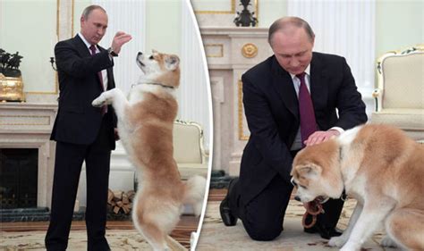 Vladimir Putin: Russian leader makes strict guard dog beg for treat | World | News | Express.co.uk