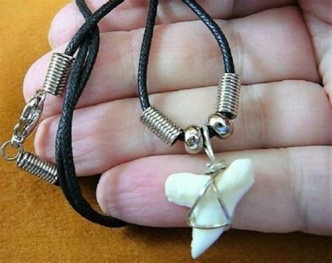 Hammerhead Shark Tooth Necklace 1 Inch Long Genuine & Unrestored – rocksolidfossils