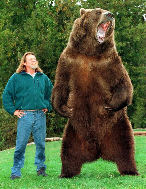 Bart the Bear - Grizzly bear conservation and protection