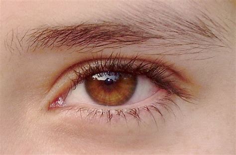 Honey-colored eye / Color de miel | Brown eyes aesthetic, Beautiful ...