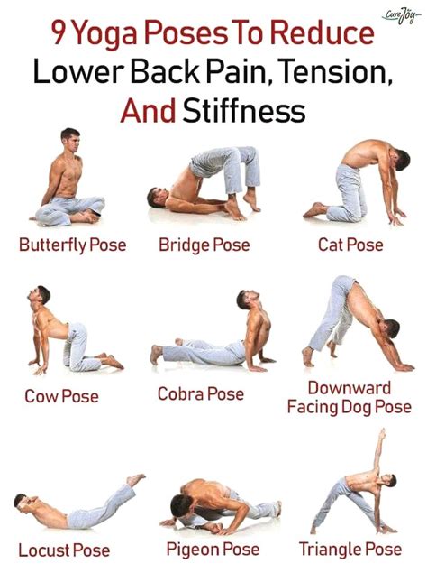 Yoga Poses Back Strength | Lower back exercises, Back exercises, Yoga