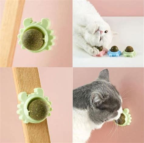 Catnip Ball Toy | cat catnip candy toy | catnip candy and toy ...