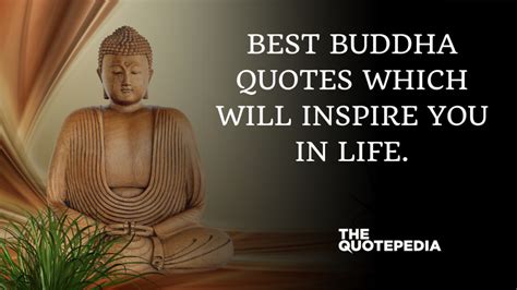 Best Buddha Quotes which will inspire you in life. - The QuotePedia