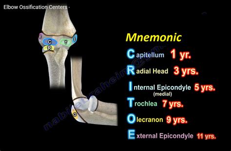 Elbow Ossification Centers — OrthopaedicPrinciples.com