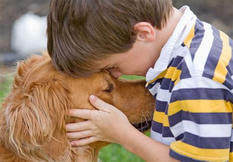 The importance of therapy animals — and pets in general — to healing ...