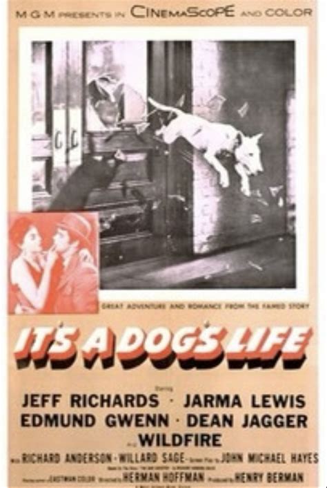 a dog's life movie - Tarah Christiansen