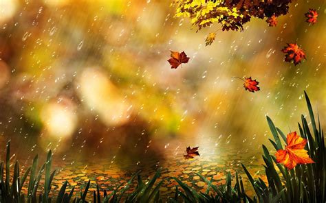 Falling Rain Wallpaper Hd