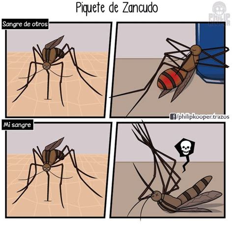 Piquete de mosquito | Memes, Memes divertidos, Memes graciosos