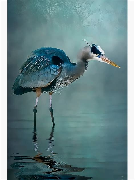 "Blue Bayou" Poster by Tarrby | Redbubble