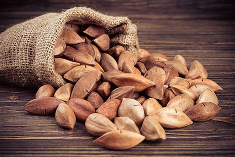 Pili nuts, grown as food in the Philippines, may be the next keto ...