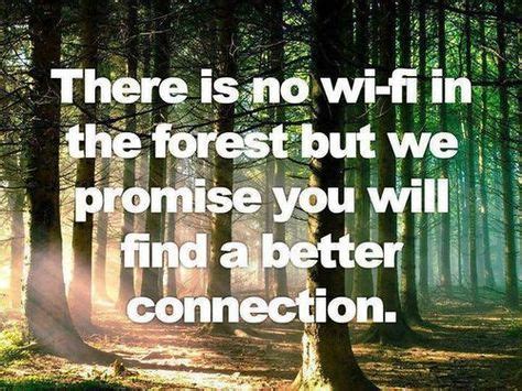There is no wifi in the forest but we promise you will find a better connection | Nature quotes ...