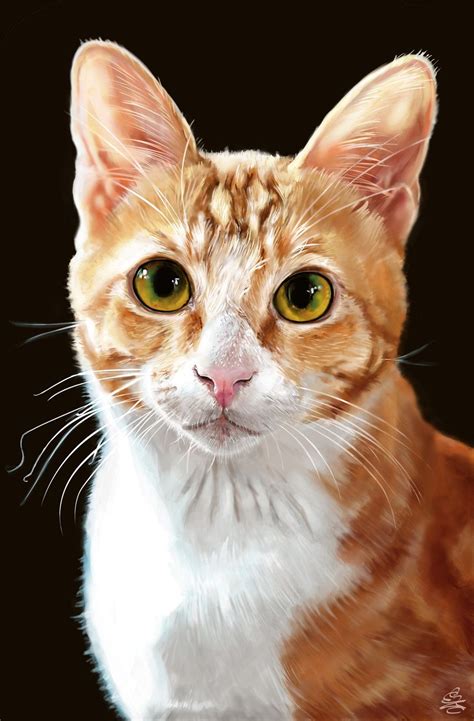 Awasome Drawings Of Cats Realistic Ideas - Saga Art