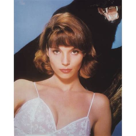 Elsa Martinelli Posed in Lingerie Photo Print - Bed Bath & Beyond ...