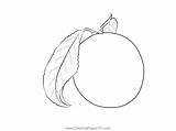 Plums Coloring Pages sketch template