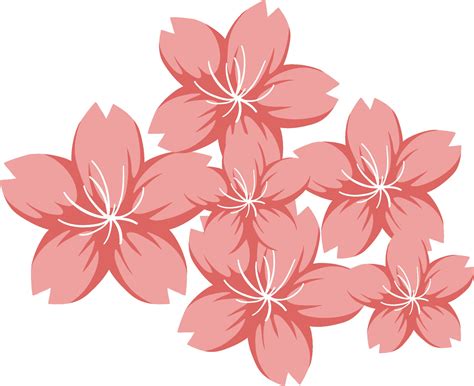 Cherry blossom or Sakura in cartoon style isolated 2683095 Vector Art at Vecteezy