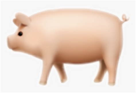 I"ve Completed The Set Of Pig Emojis 🐽 - Pig, HD Png Download - kindpng