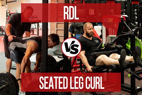 Seated Leg Curl vs RDL - N1 Training