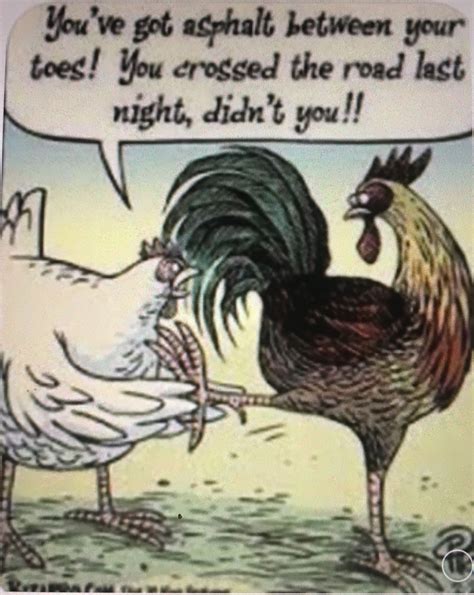 CARTOONS image by Maryannvarney | Chicken humor, Chicken jokes, Chickens