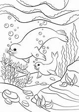 Free SEAL Coloring Pages For Download Printable PDF sketch template