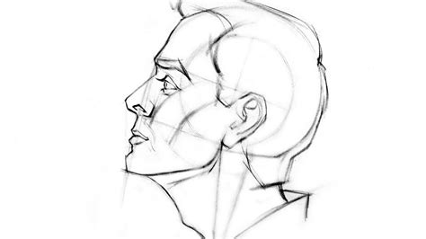 Male face side view Drawing Reference and Sketches for Artists