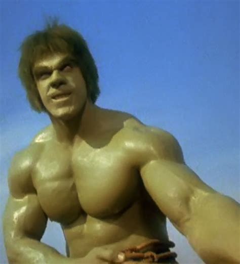 Incredible Hulk - TV Series - Bill Bixby - Lou Ferrigno - Profile ...