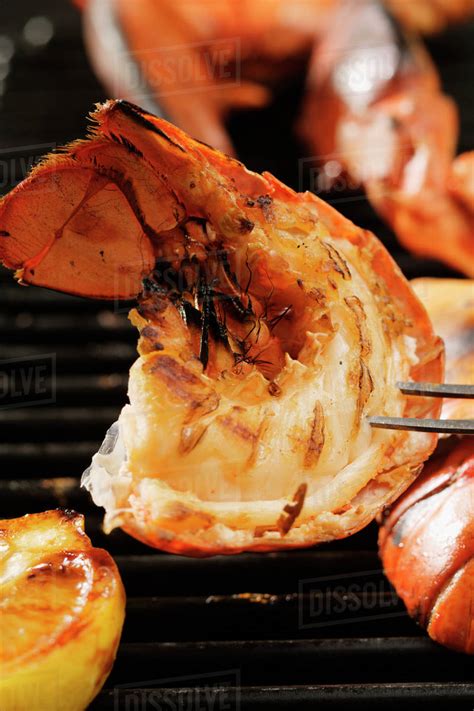 Barbecued lobster - Stock Photo - Dissolve