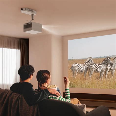 Projector Setup and Installation Options