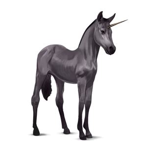 Unicorn PNG