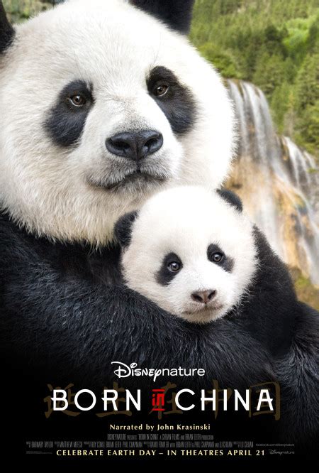 Disneynature Born in China Film - Beltway Bargain Mom | Washington DC ...