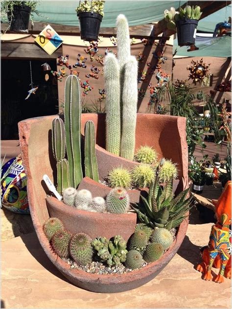 Cactus Container Garden Ideas