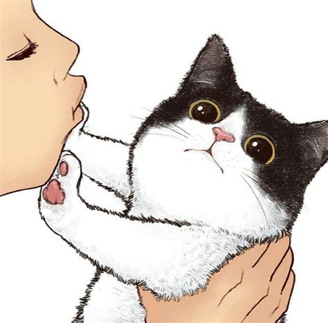 Which Cat do you wanna Kiss? @illustration_best Artist : 魏大葱有木瓜 Funny ...