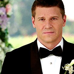 Seeley Booth - dazzled by Temperance Brennan since 2005. 1x05 / 2x08 ...
