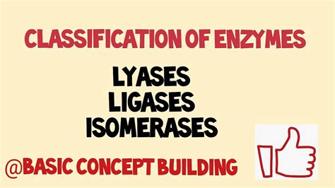 Classification of enzyme || ligases || lyases || isomerases || last part - YouTube