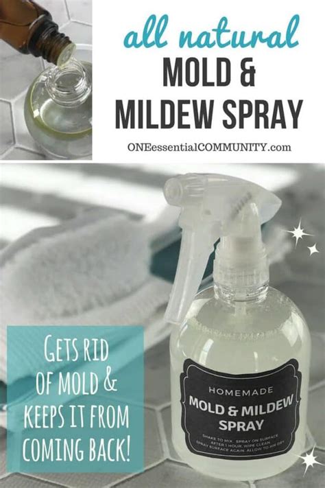 Anti-Mold & Mildew Spray - One Essential Community