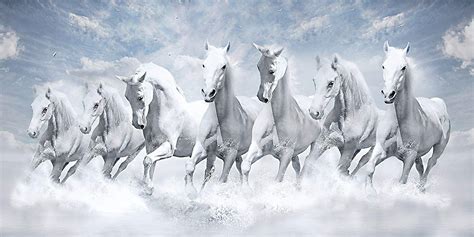 7 Horse Full Hd Wallpaper | White horse painting, Horse wallpaper ...