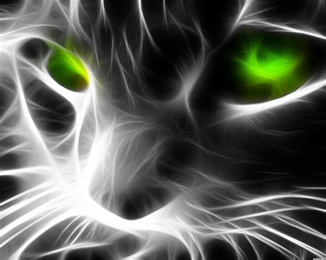 Fractal Cat Wallpaper - Random Wallpaper (25720656) - Fanpop