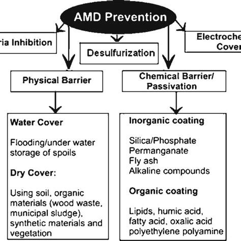 Various approaches that have been used to prevent acid mine drainage ...