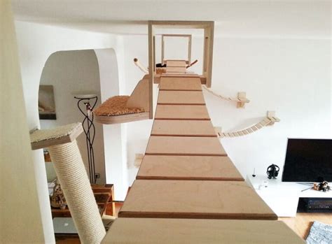 Cat Bridge DIY: An Enriching and Stimulating Environment for Your ...