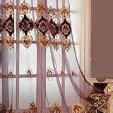 Amazon.com: Amidoudou 1 Pair European Jacquard Sheer Curtains ...