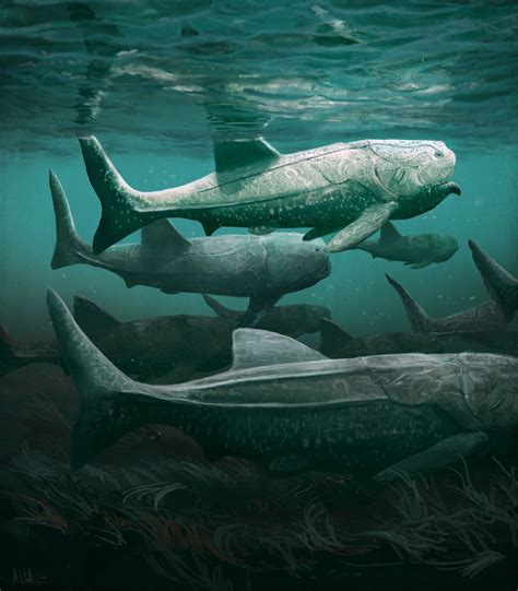 Ancient giant armored fish fed in a similar way to basking sharks