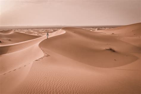 7 Best Desert Safaris in Doha you Will Love to Do - TourScanner